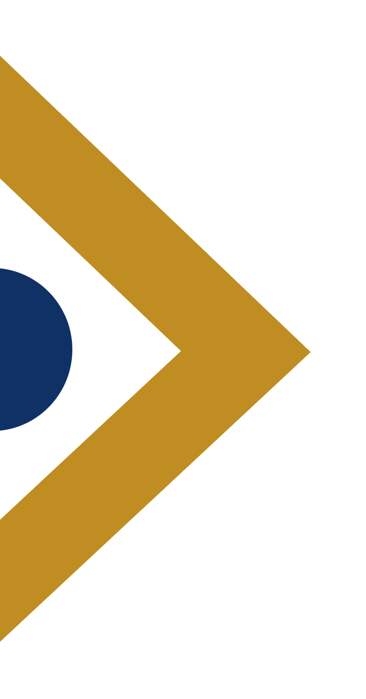 Seta 2